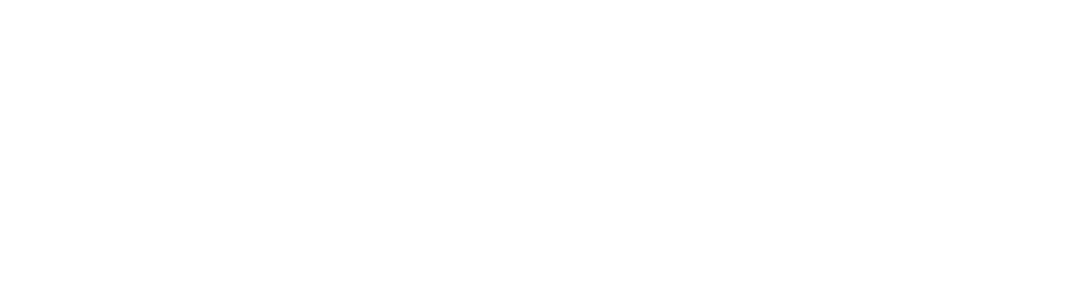 PNG_Bosspro_White Small